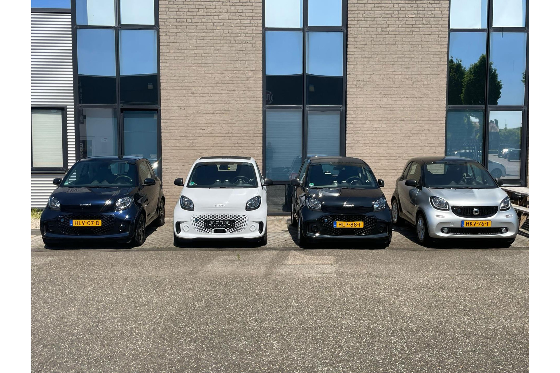44657017-80.jpg
