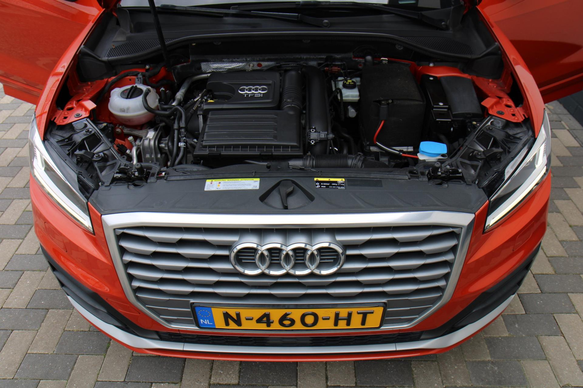 44709950-51.jpg