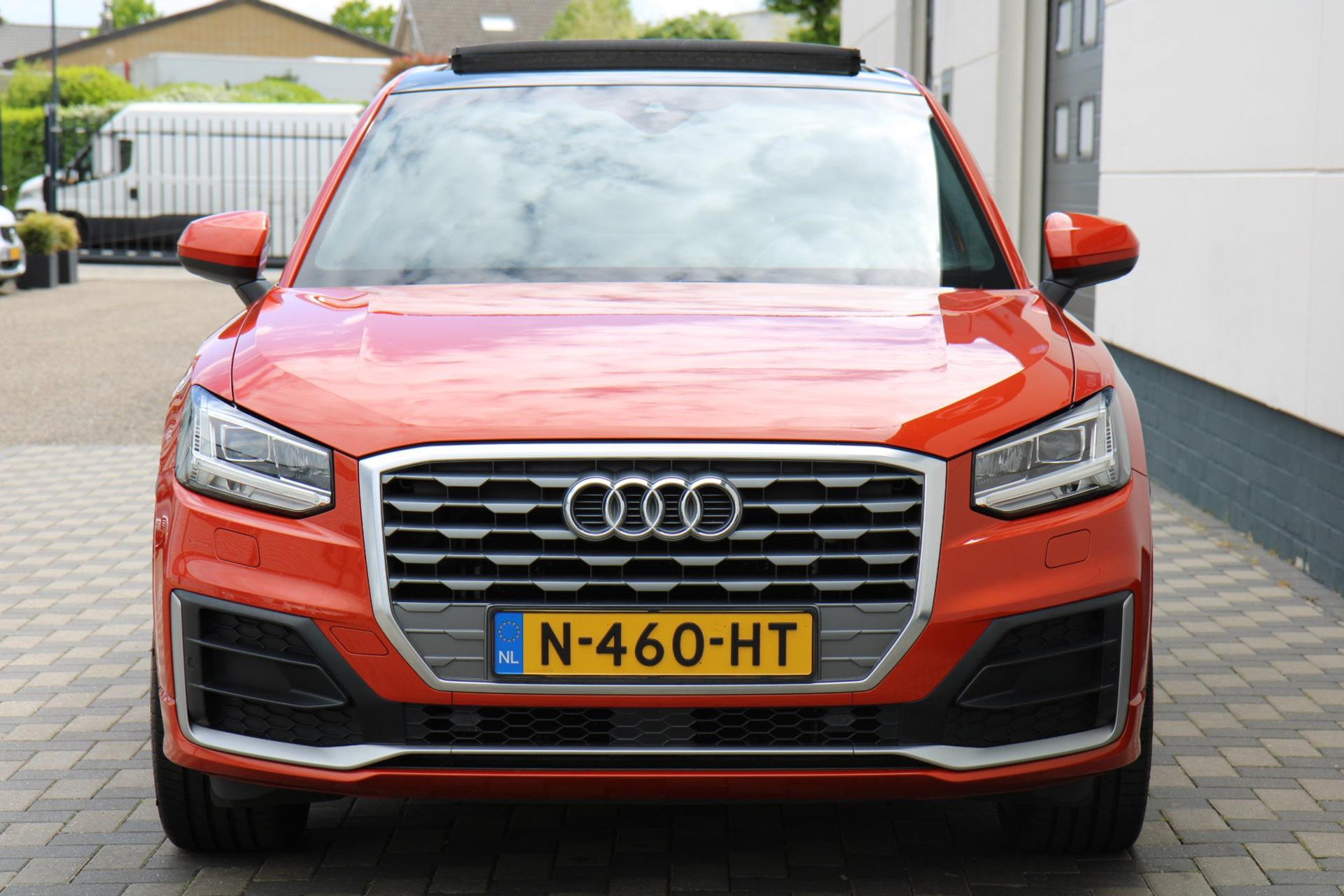 44709950-7.jpg