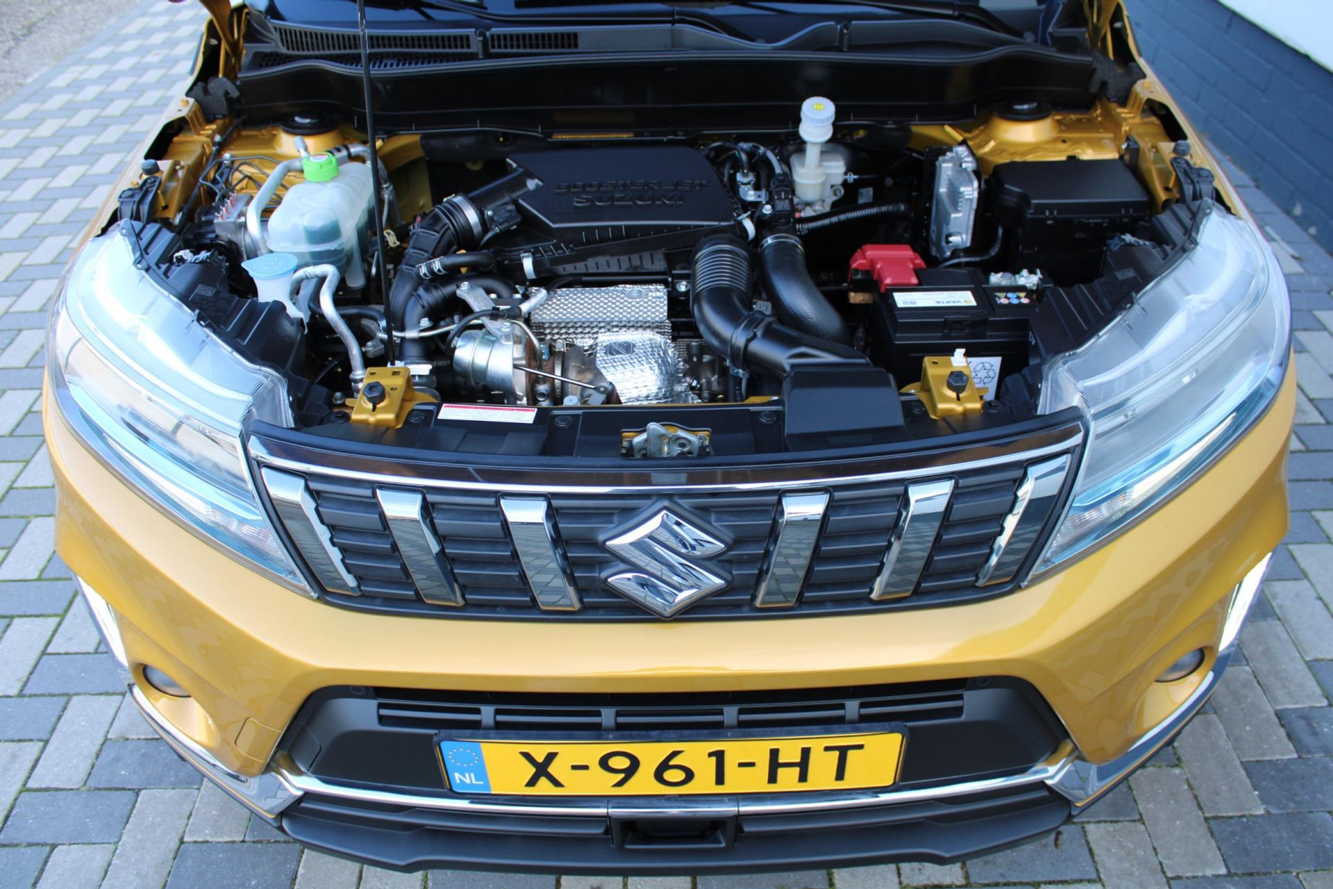 44921725-26.jpg