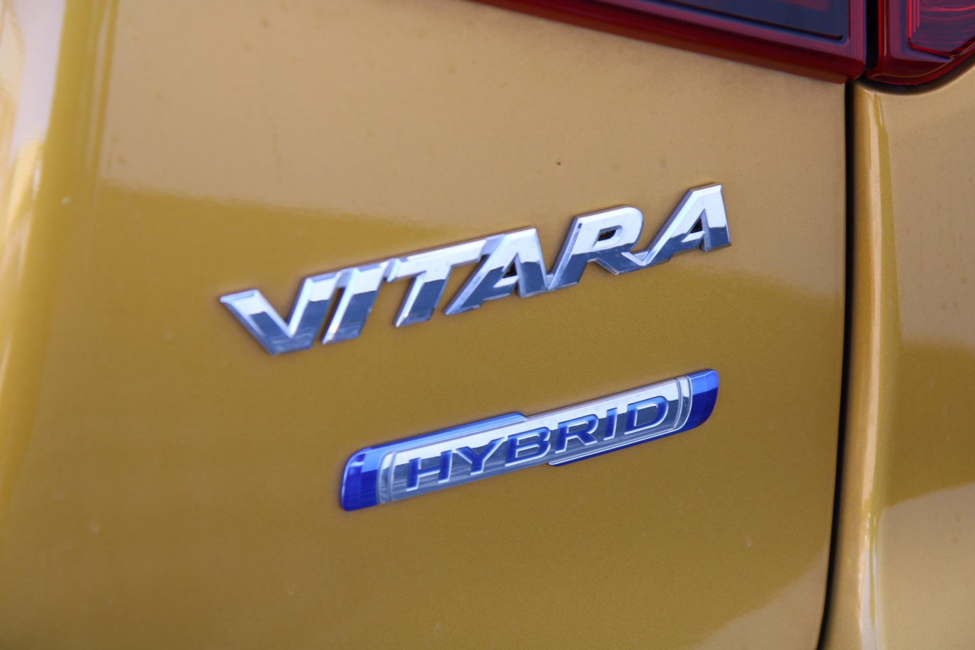 44921725-74.jpg