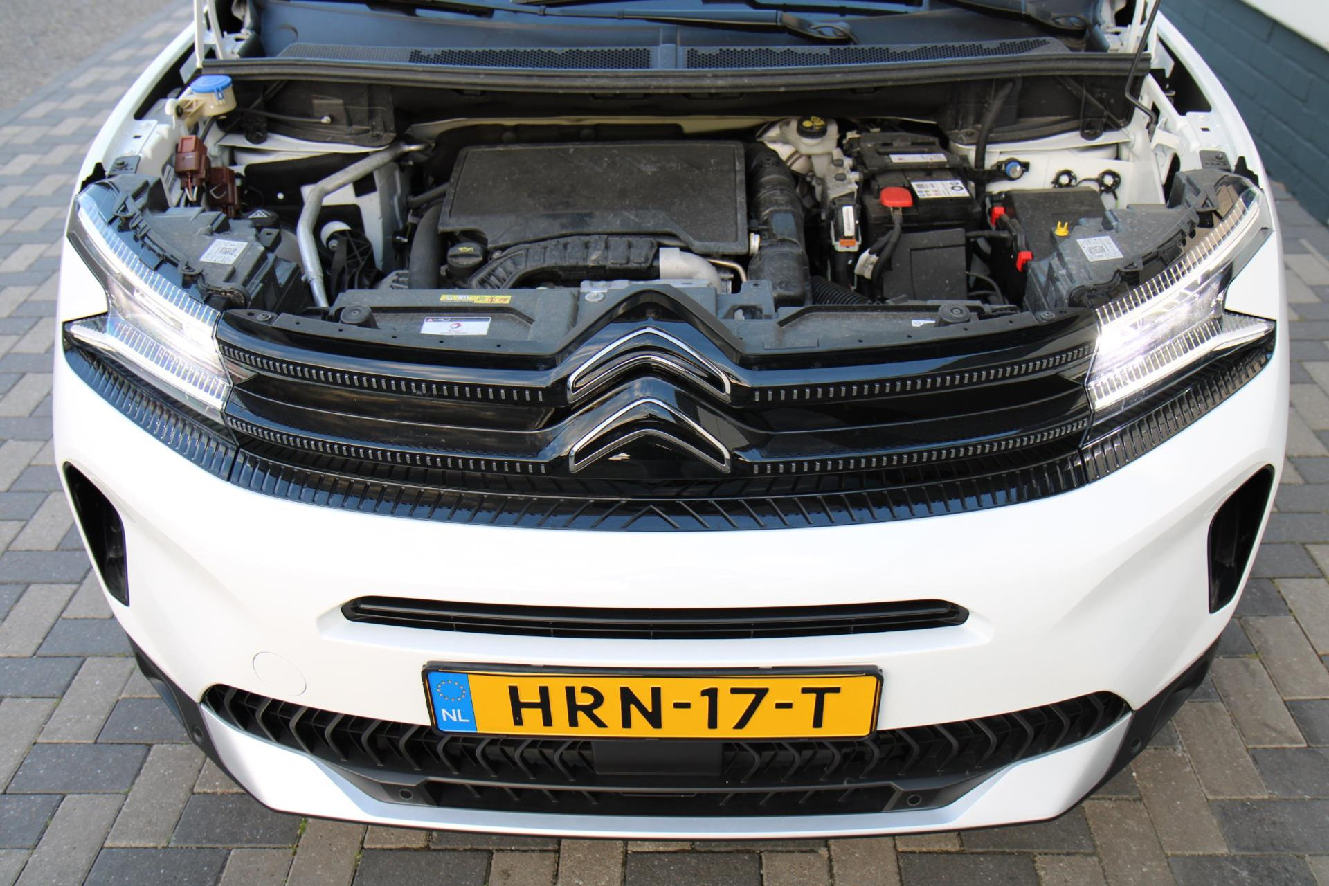 44950195-45.jpg
