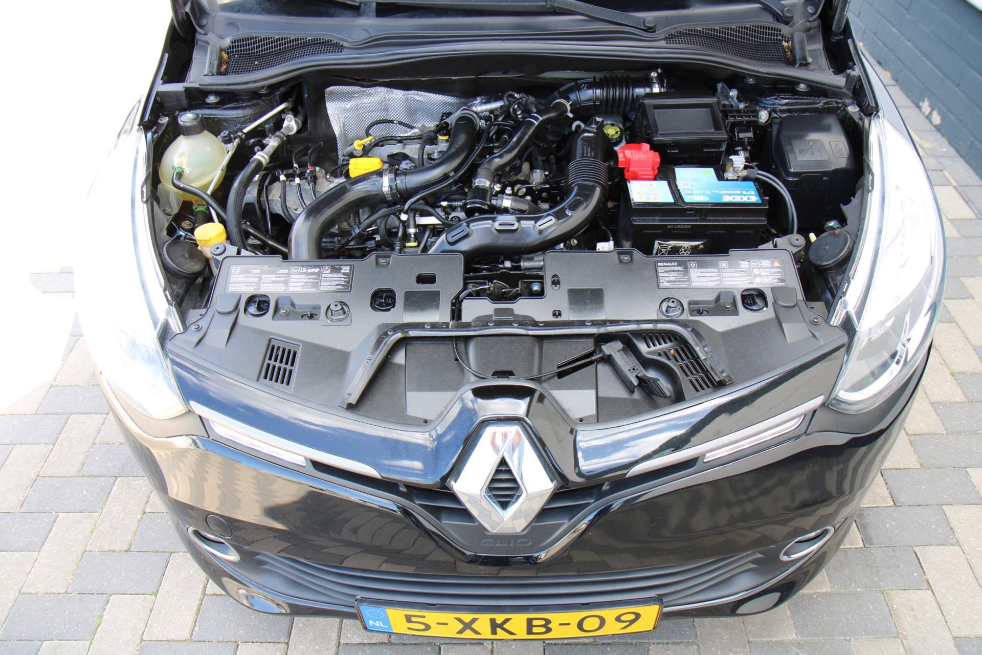 44993406-36.jpg
