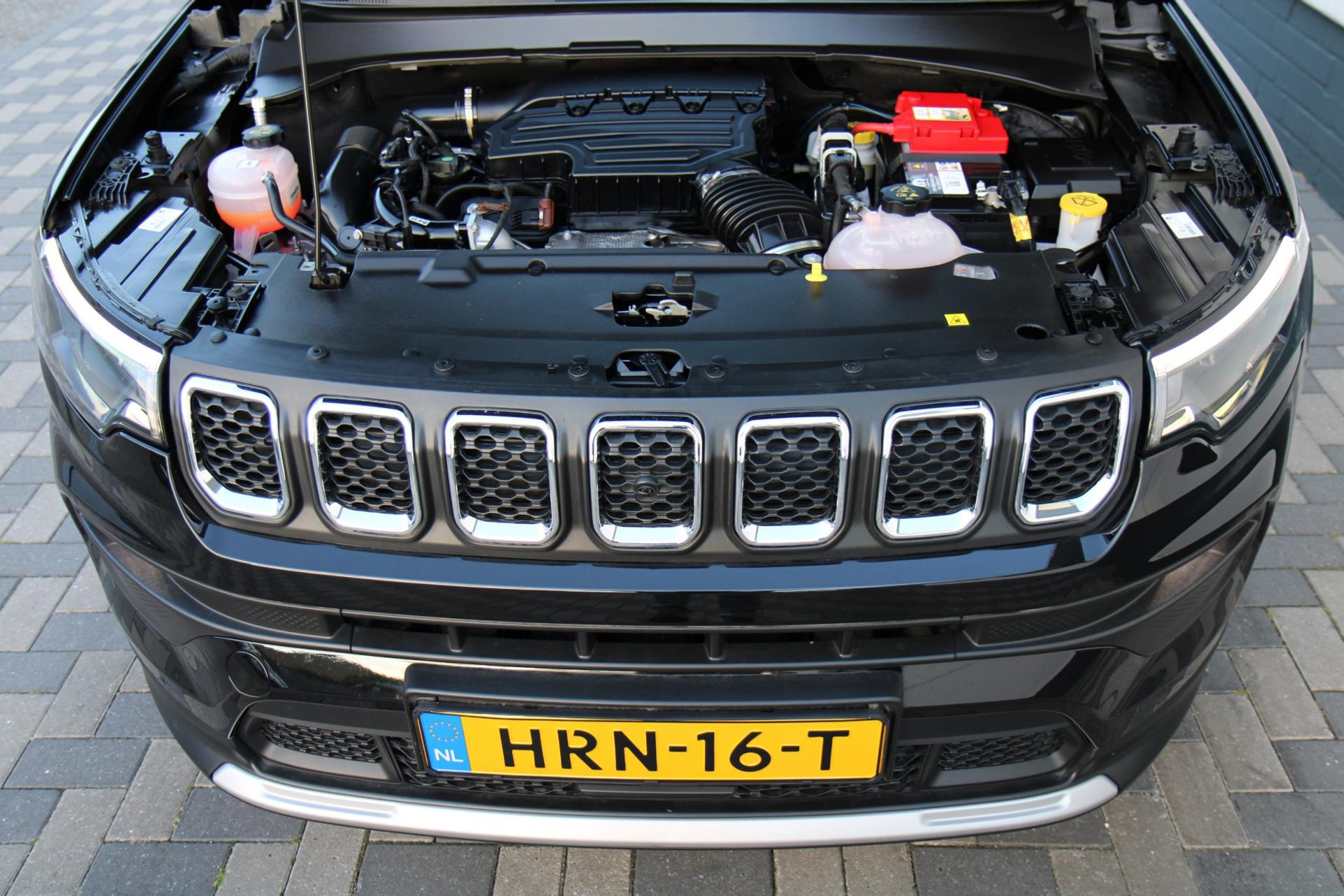 45131058-56.jpg
