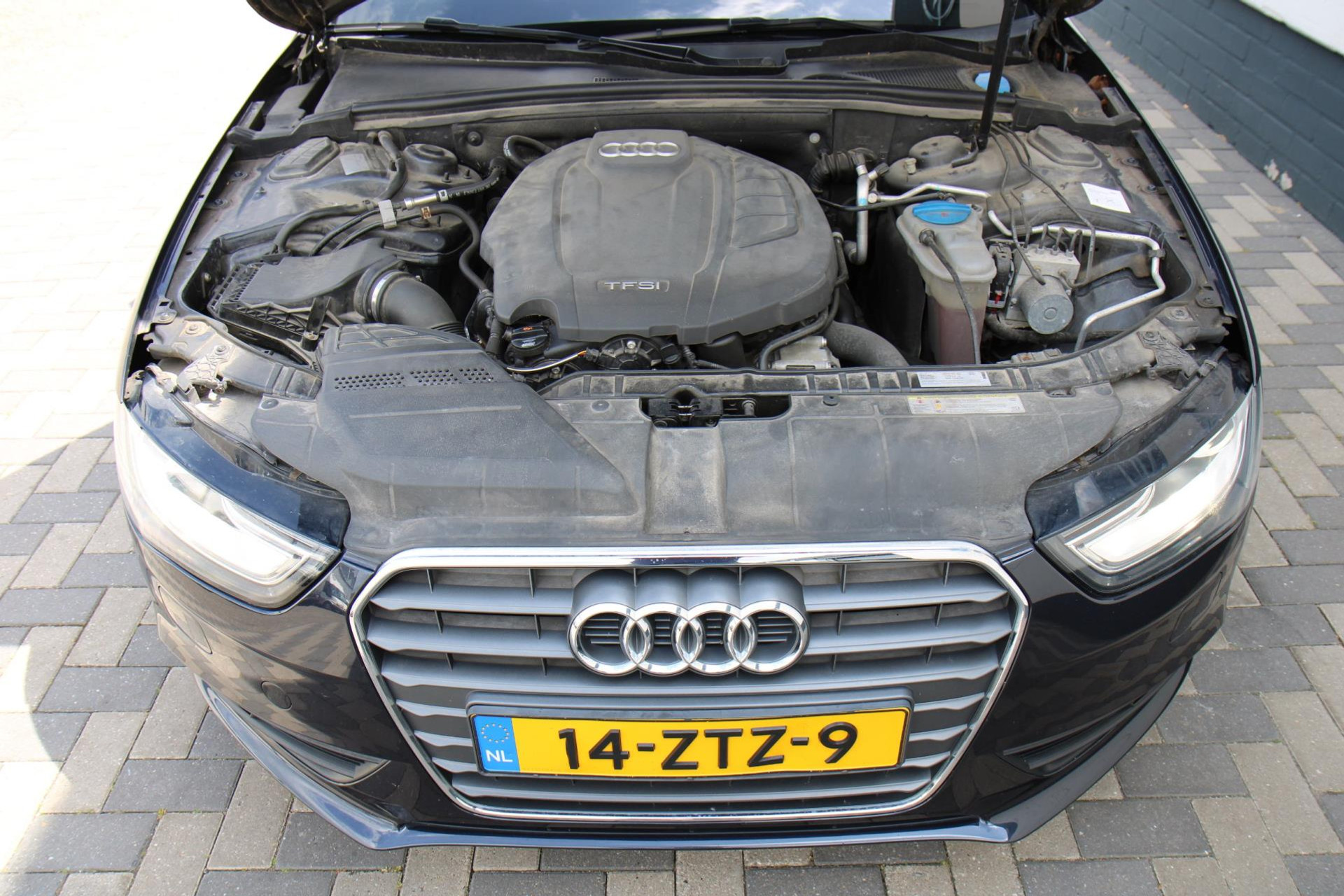 45248008-29.jpg