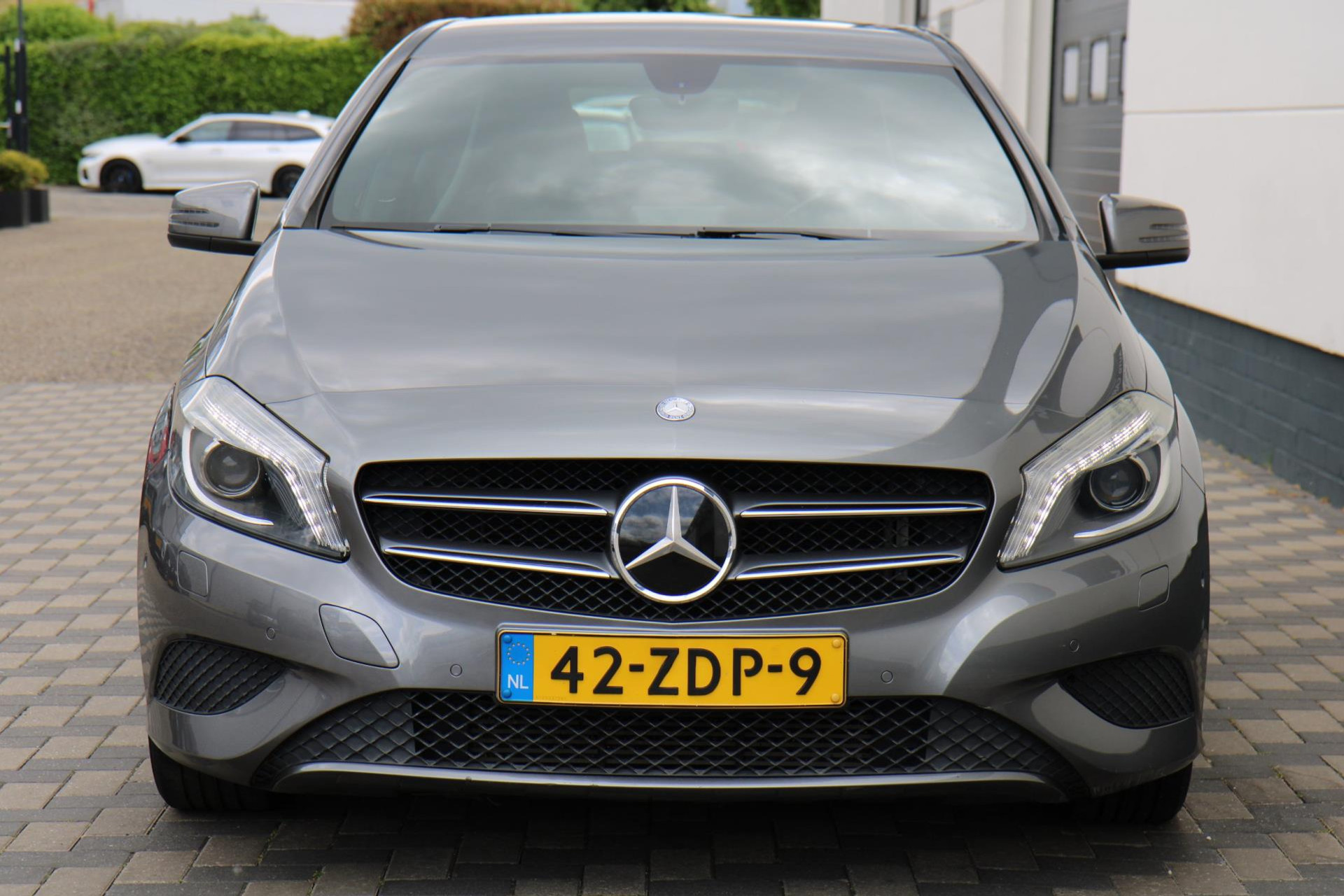 45248017-24.jpg
