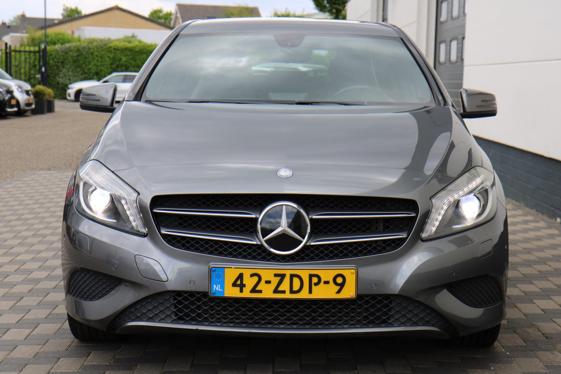 45248017-25.jpg