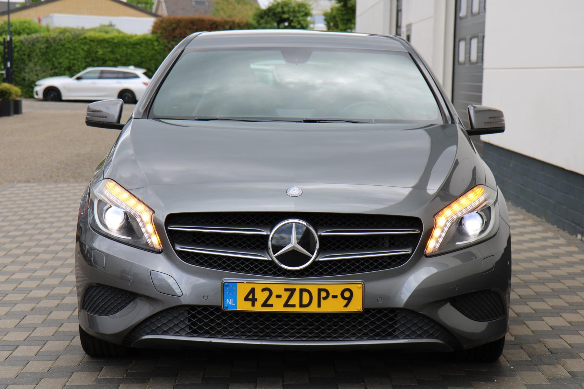 45248017-27.jpg