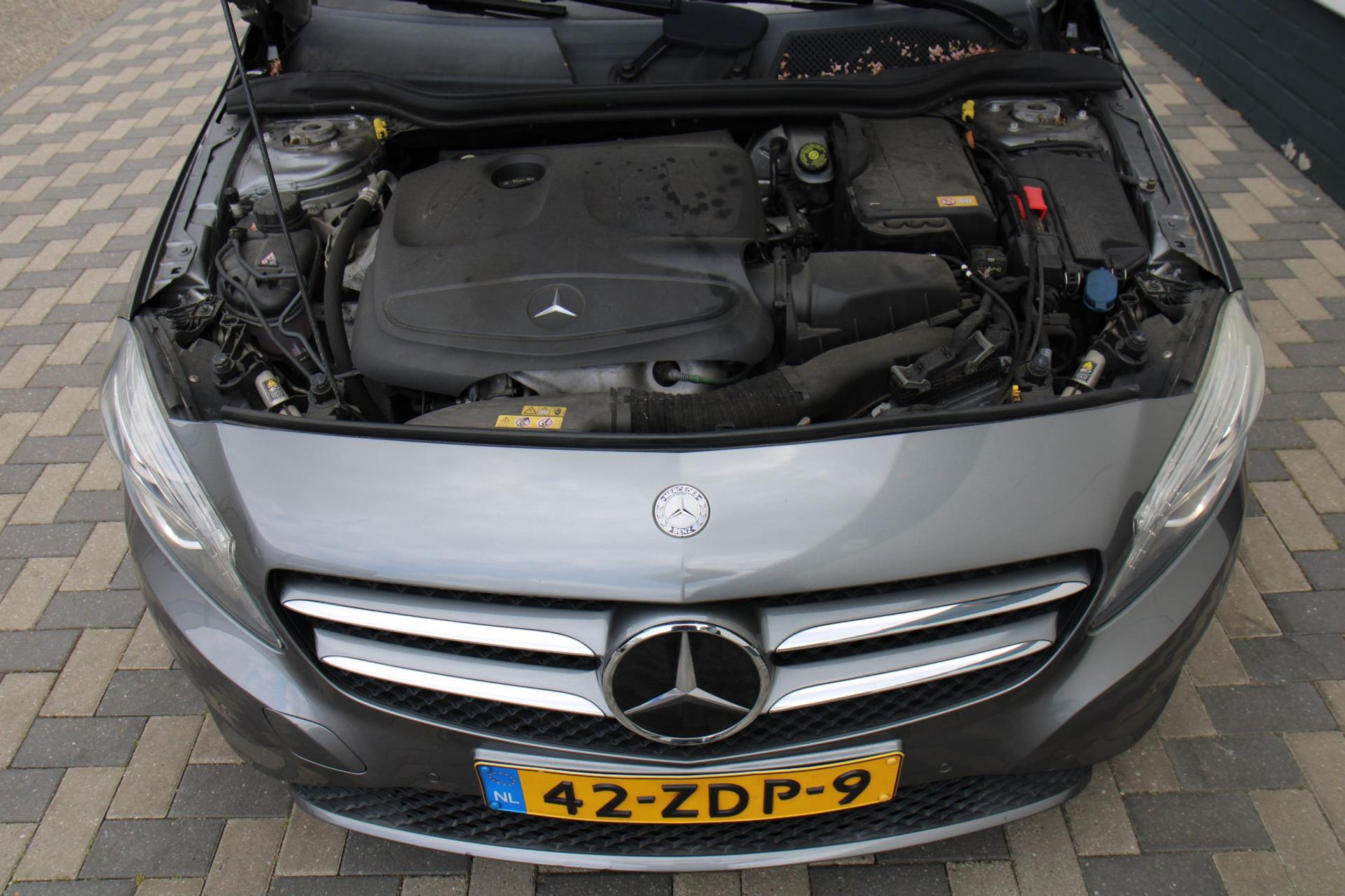 45248017-31.jpg