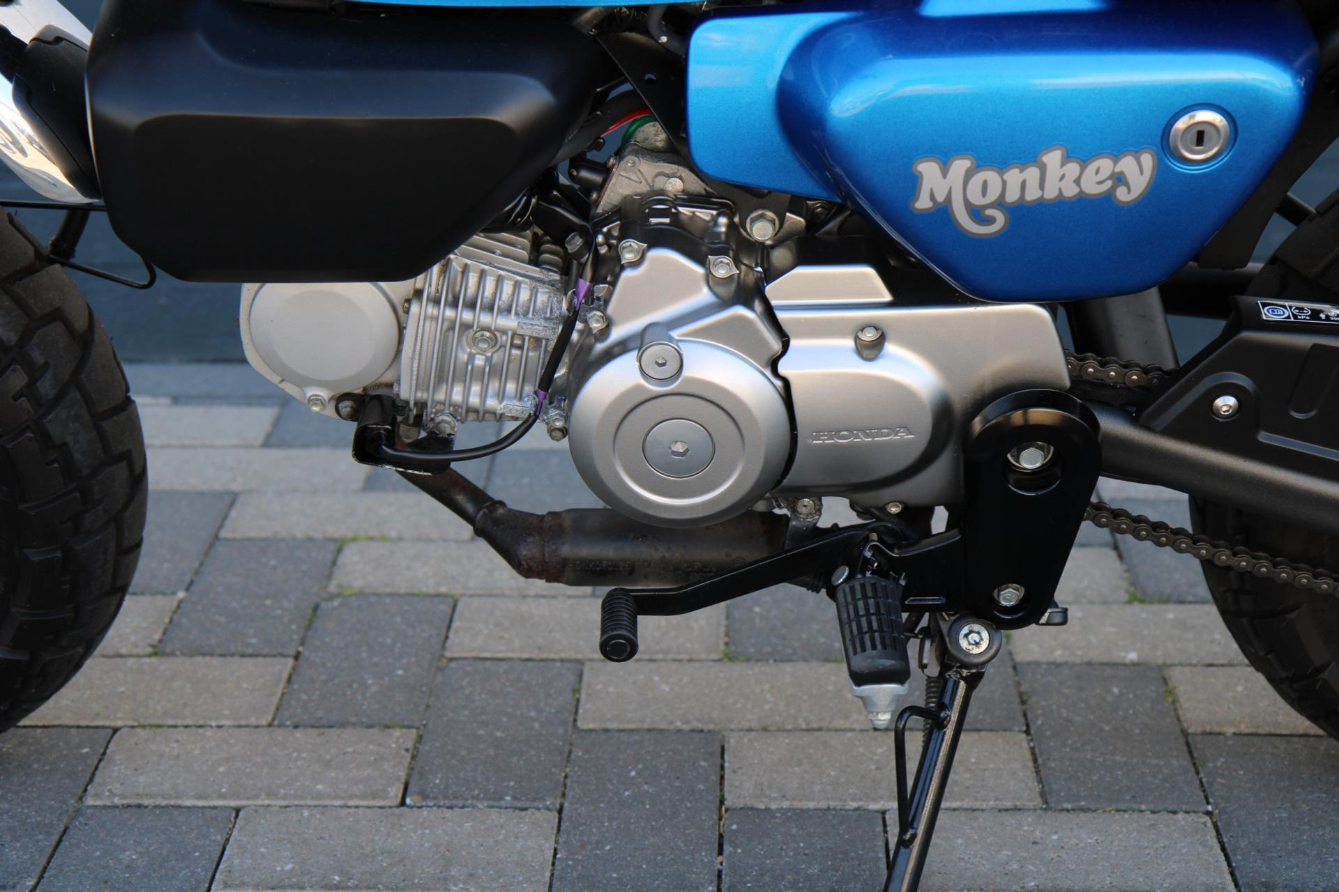 45310855-31.jpg