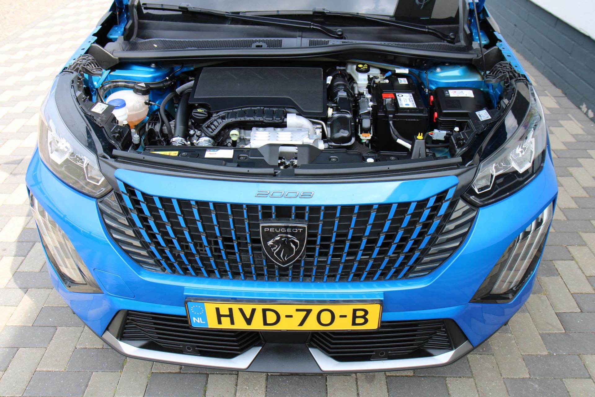 45669758-53.jpg