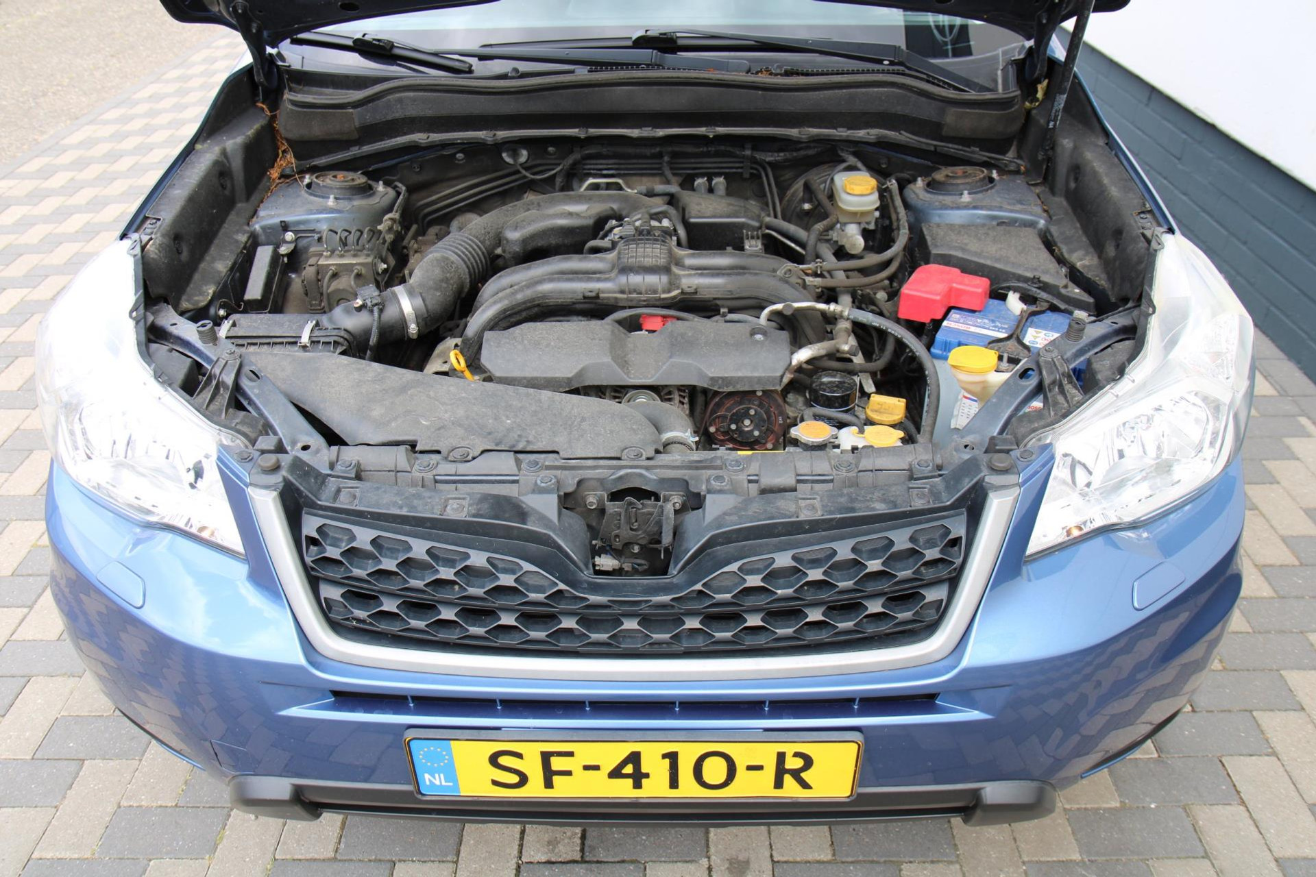 45899771-36.jpg