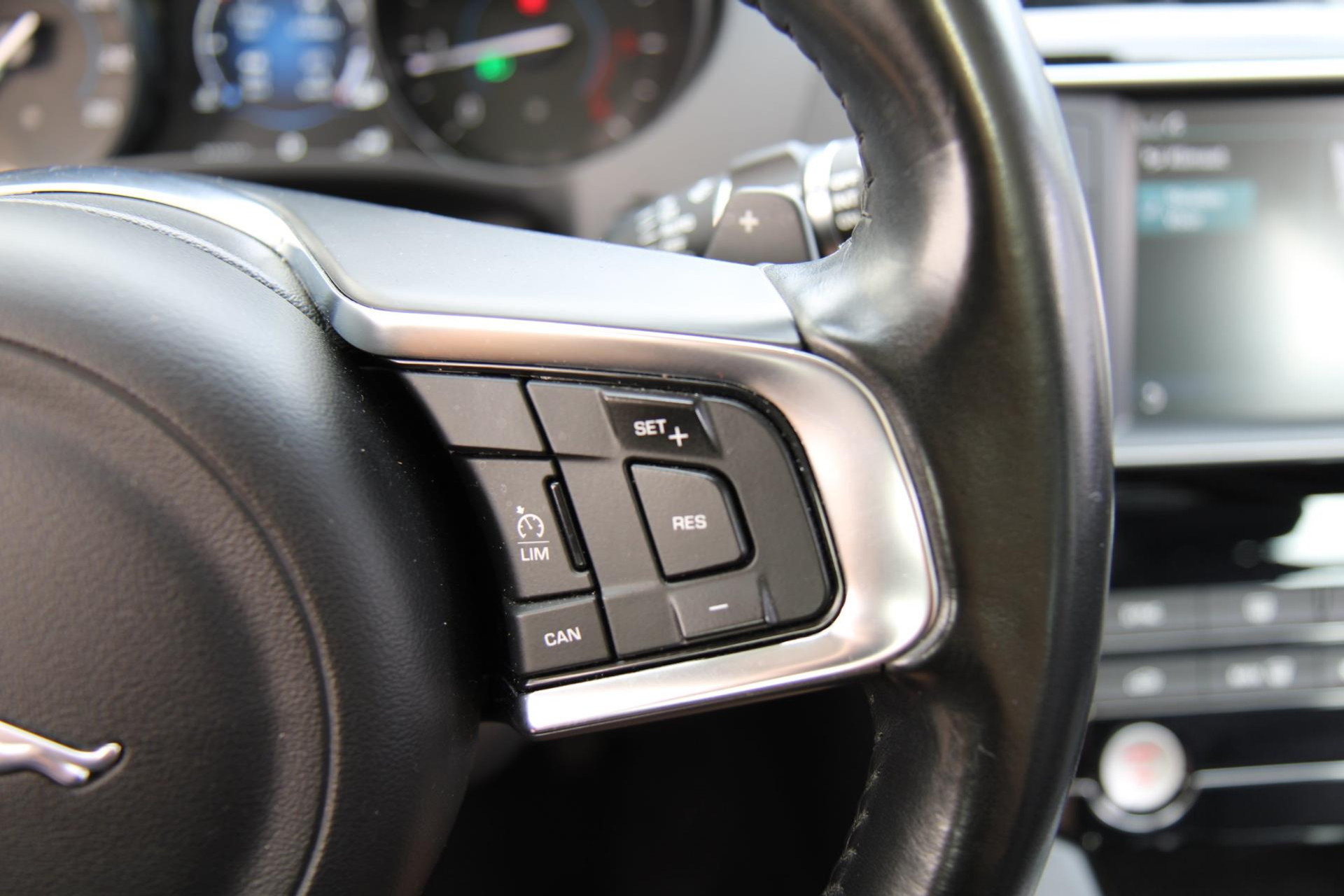 46017557-14.jpg
