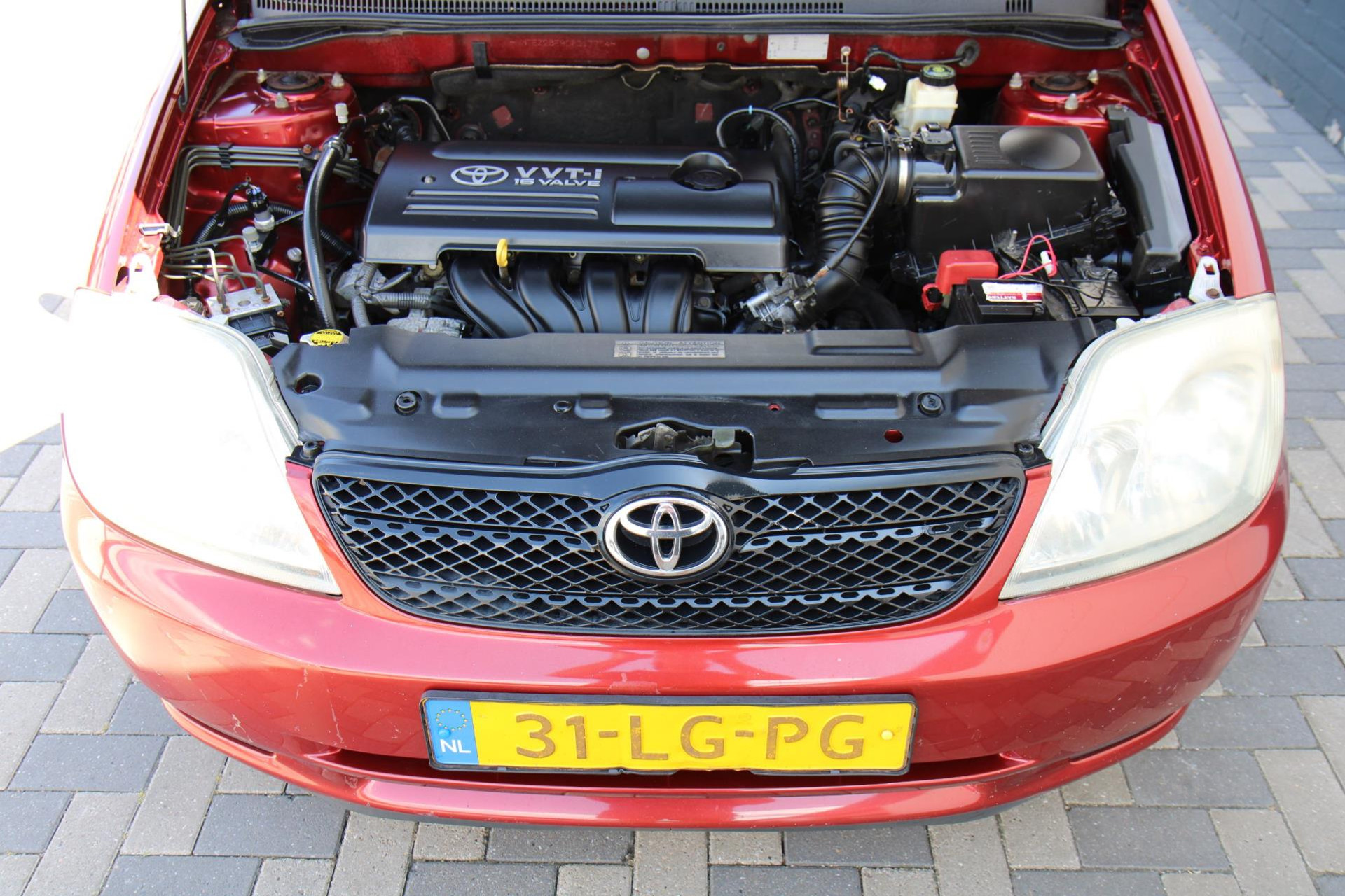 46129811-26.jpg