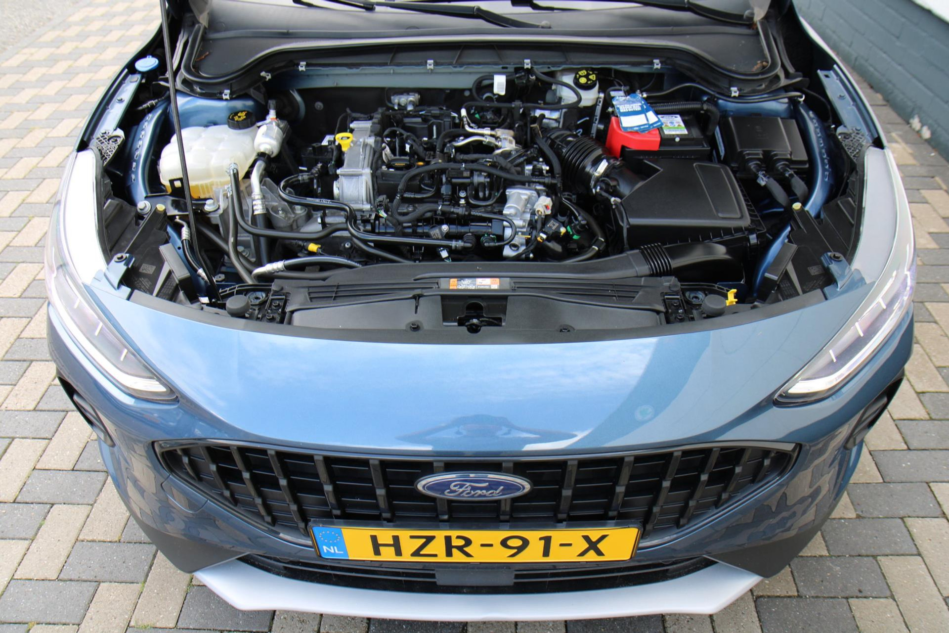 46481828-43.jpg