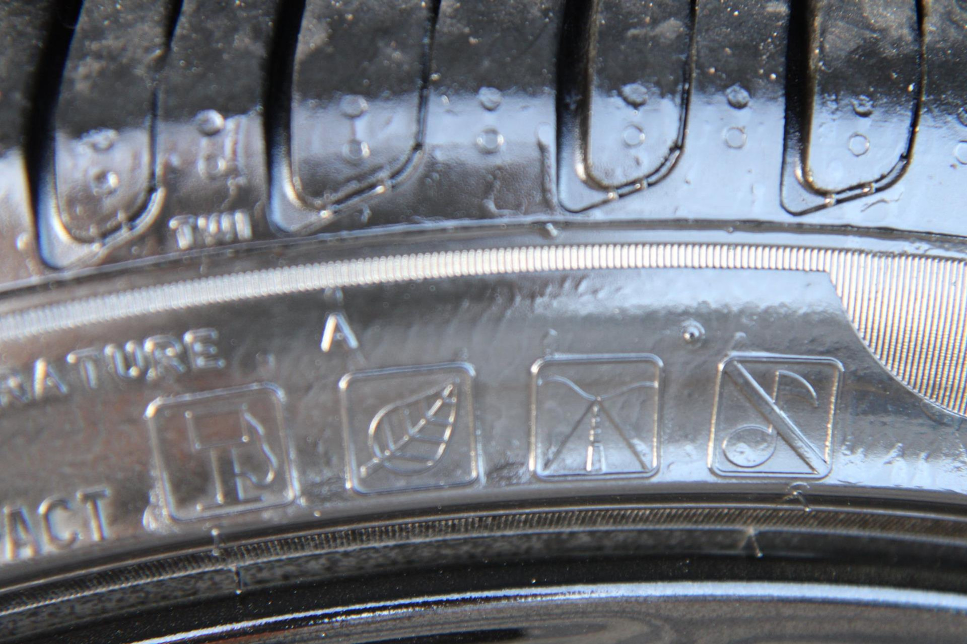 46482572-67.jpg