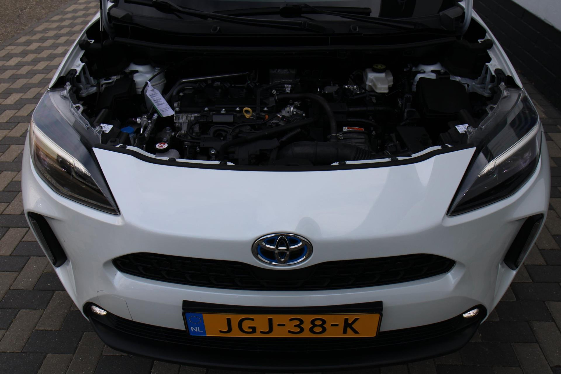 47147956-43.jpg