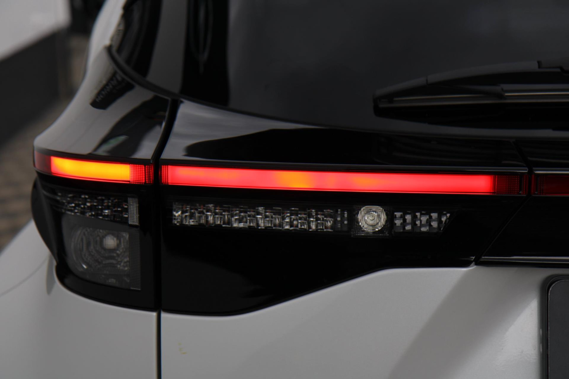 47147956-48.jpg