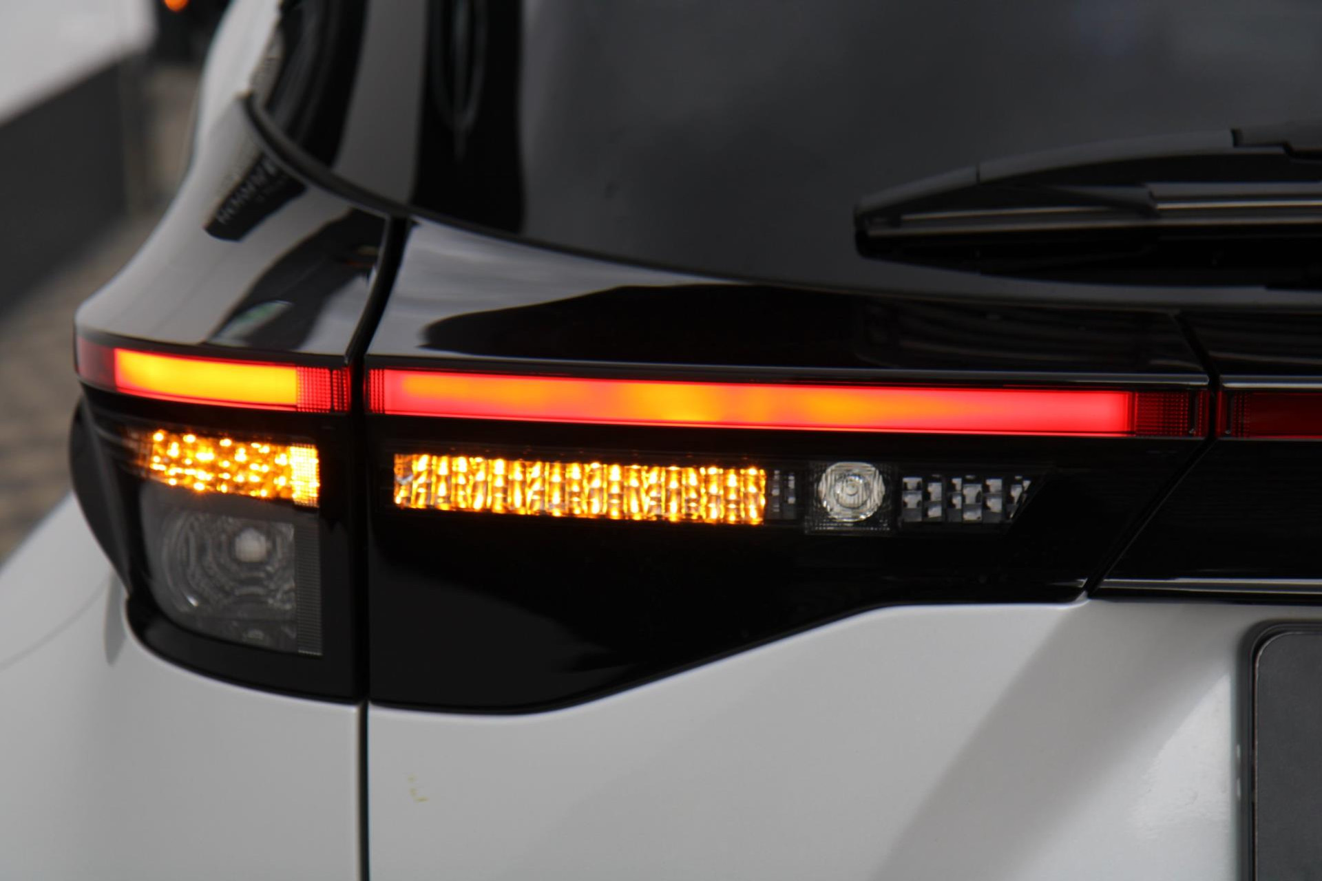 47147956-50.jpg