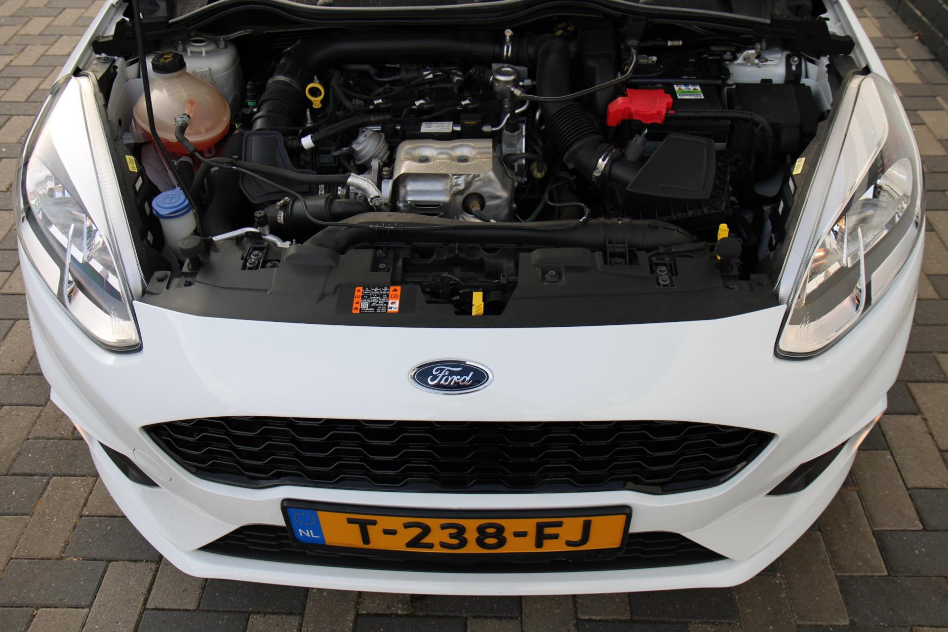 47227040-45.jpg