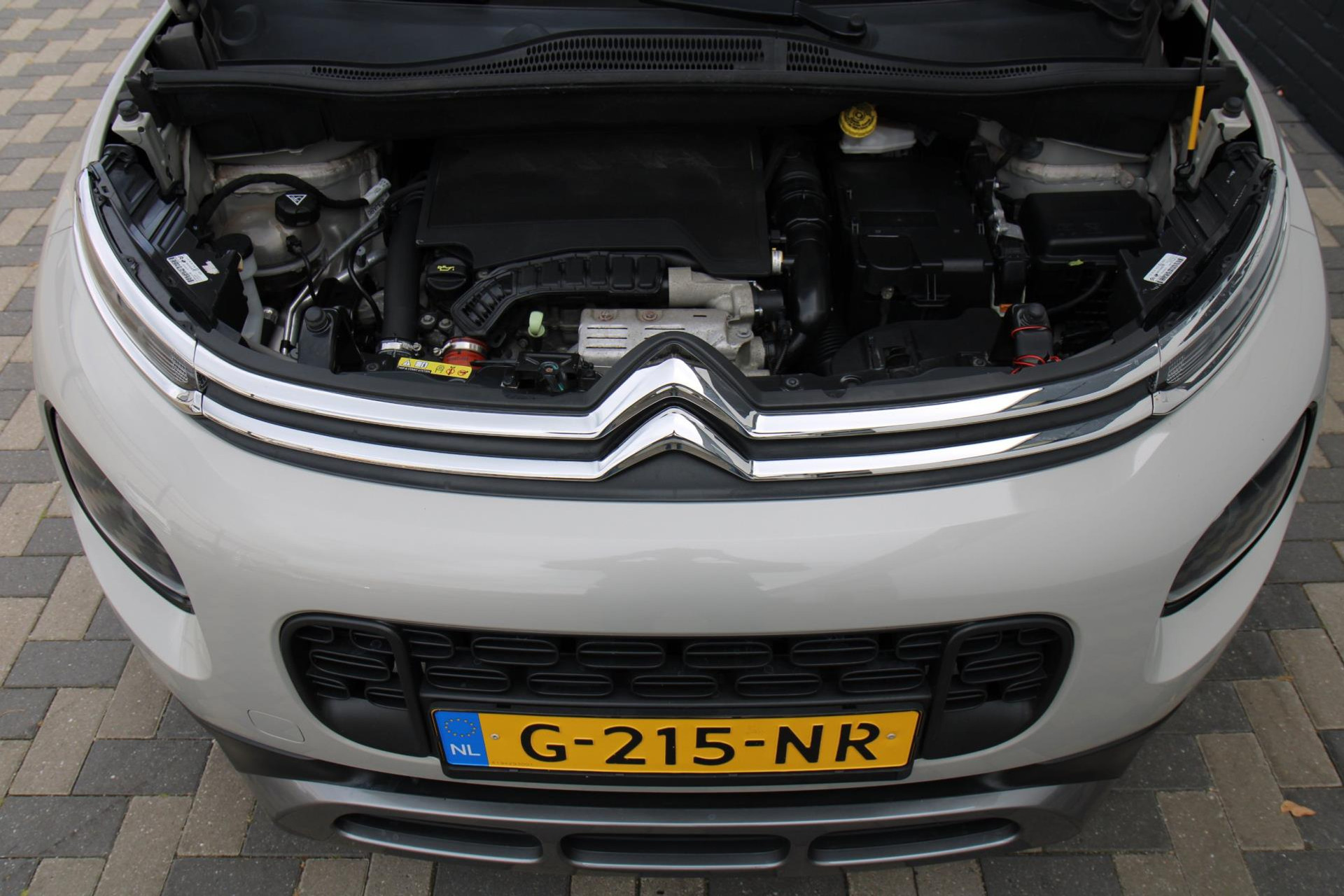 47236050-28.jpg