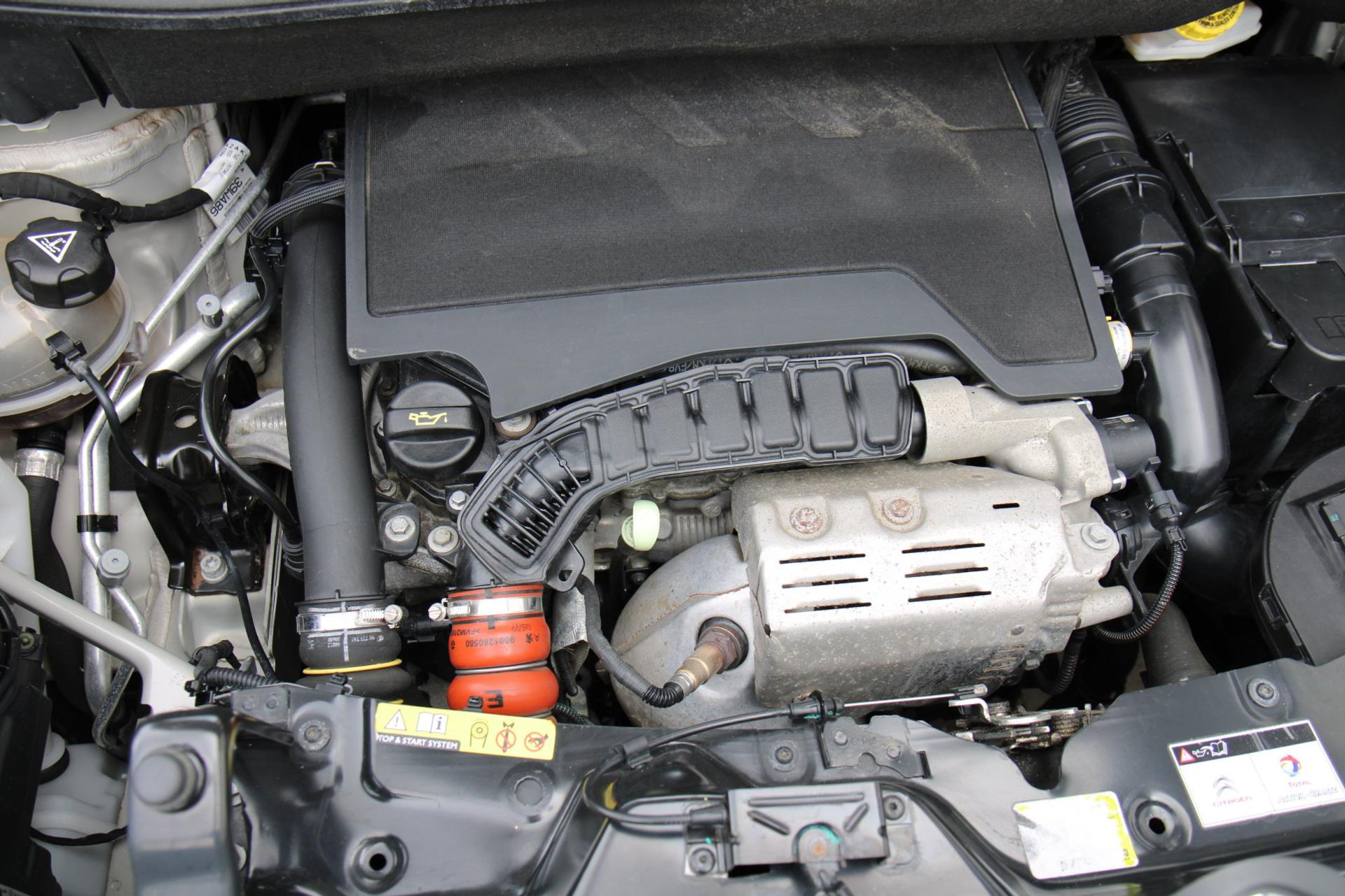 47236050-31.jpg