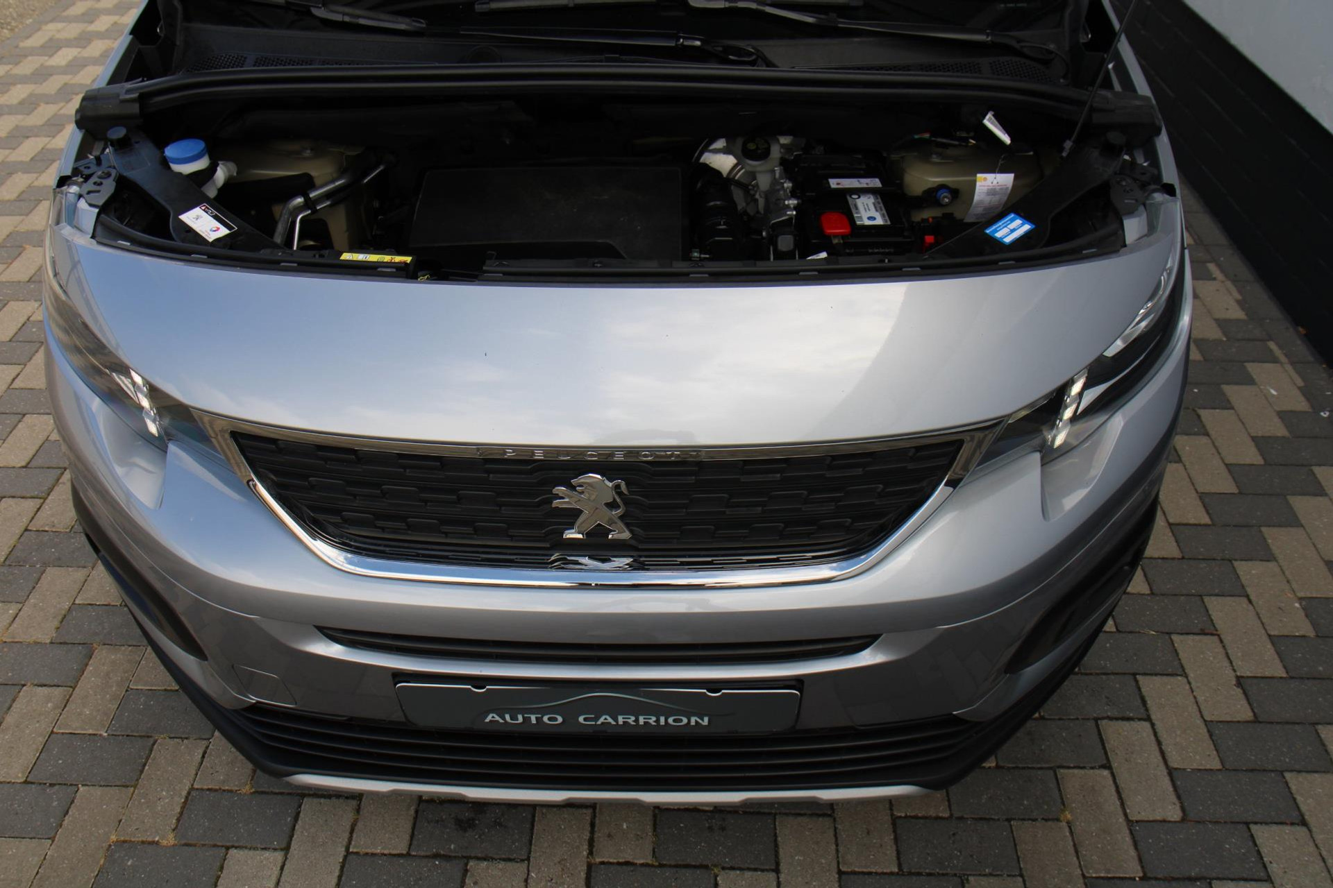 47260880-66.jpg