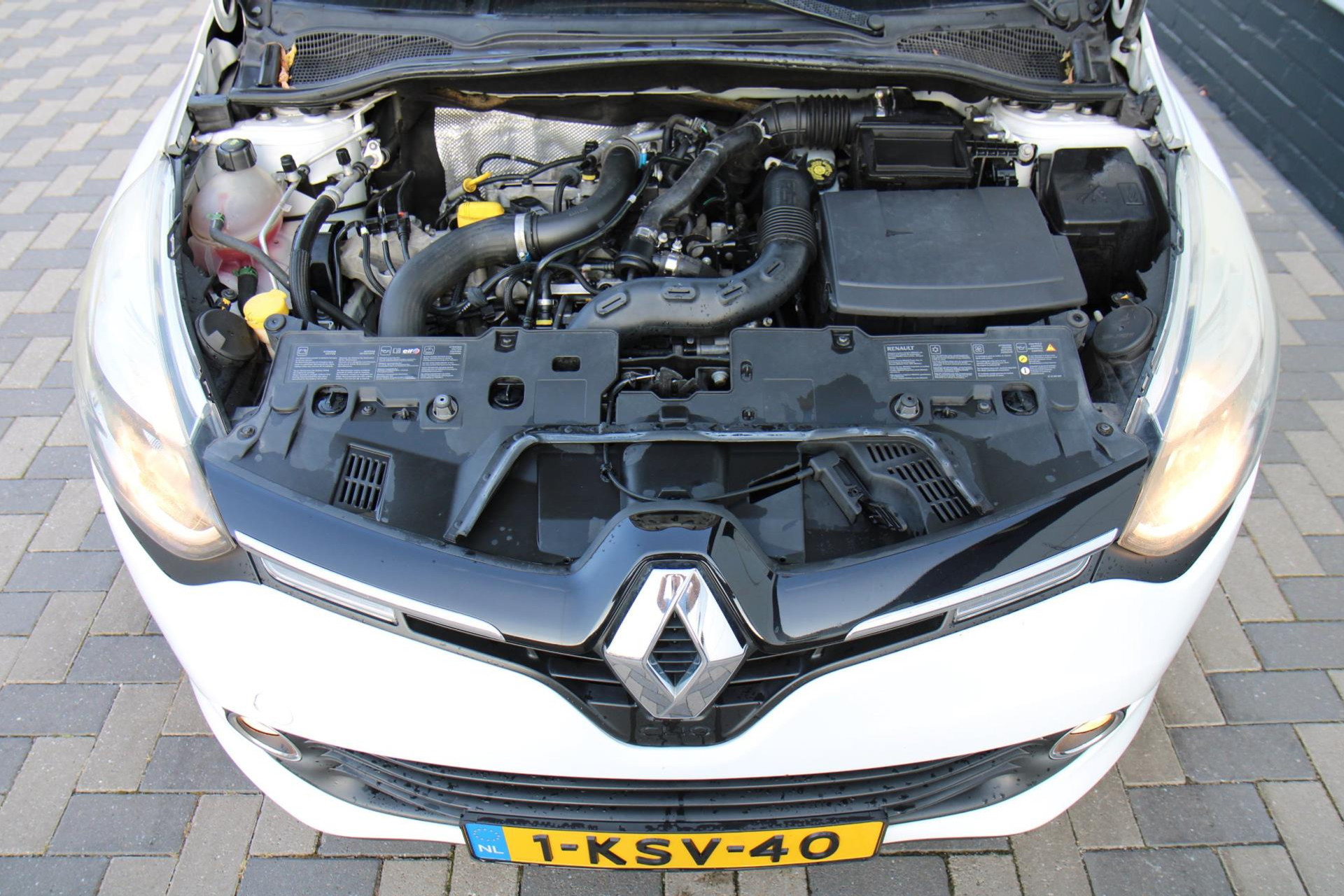 47261185-26.jpg