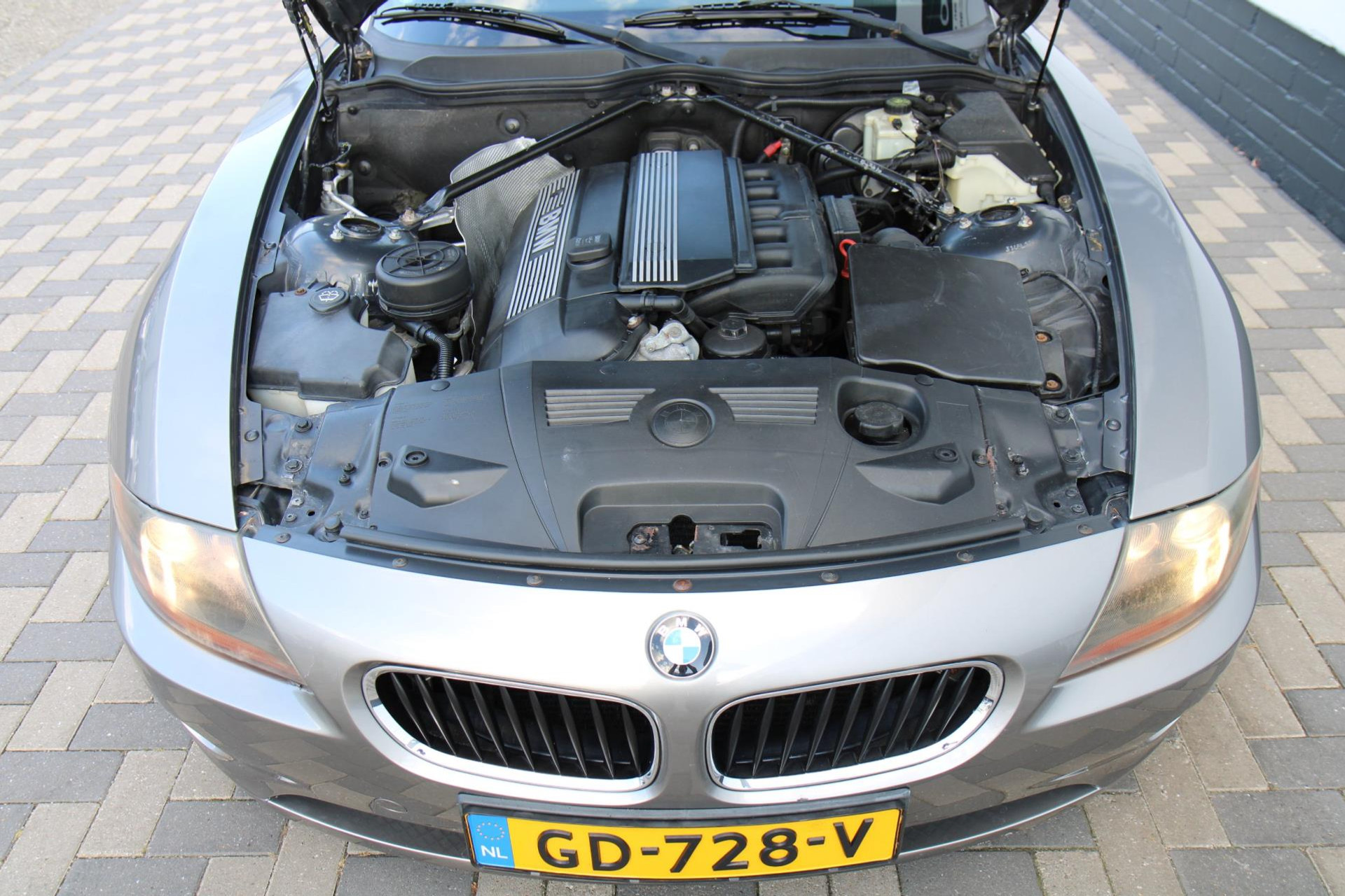 47332727-32.jpg