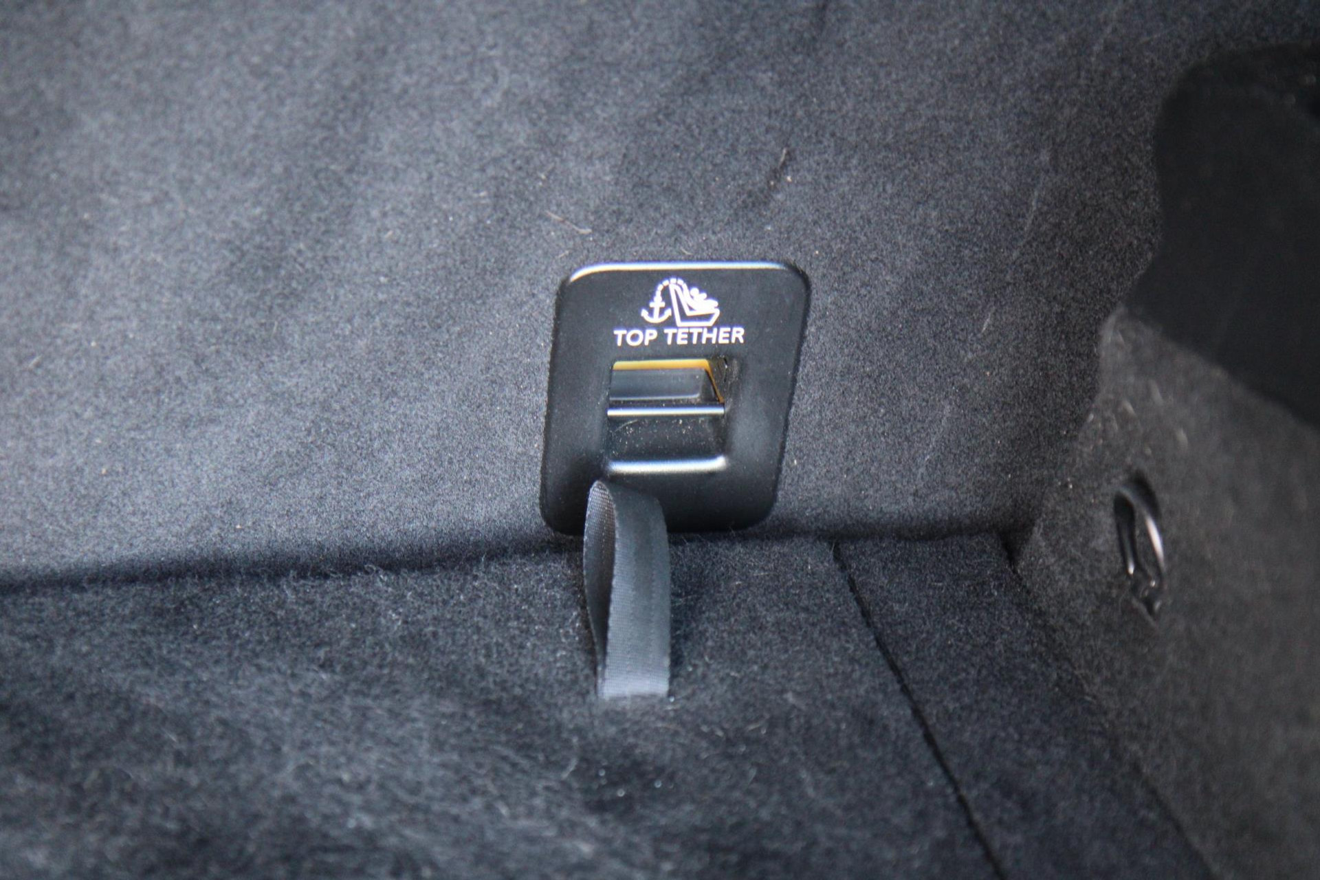 47494194-30.jpg