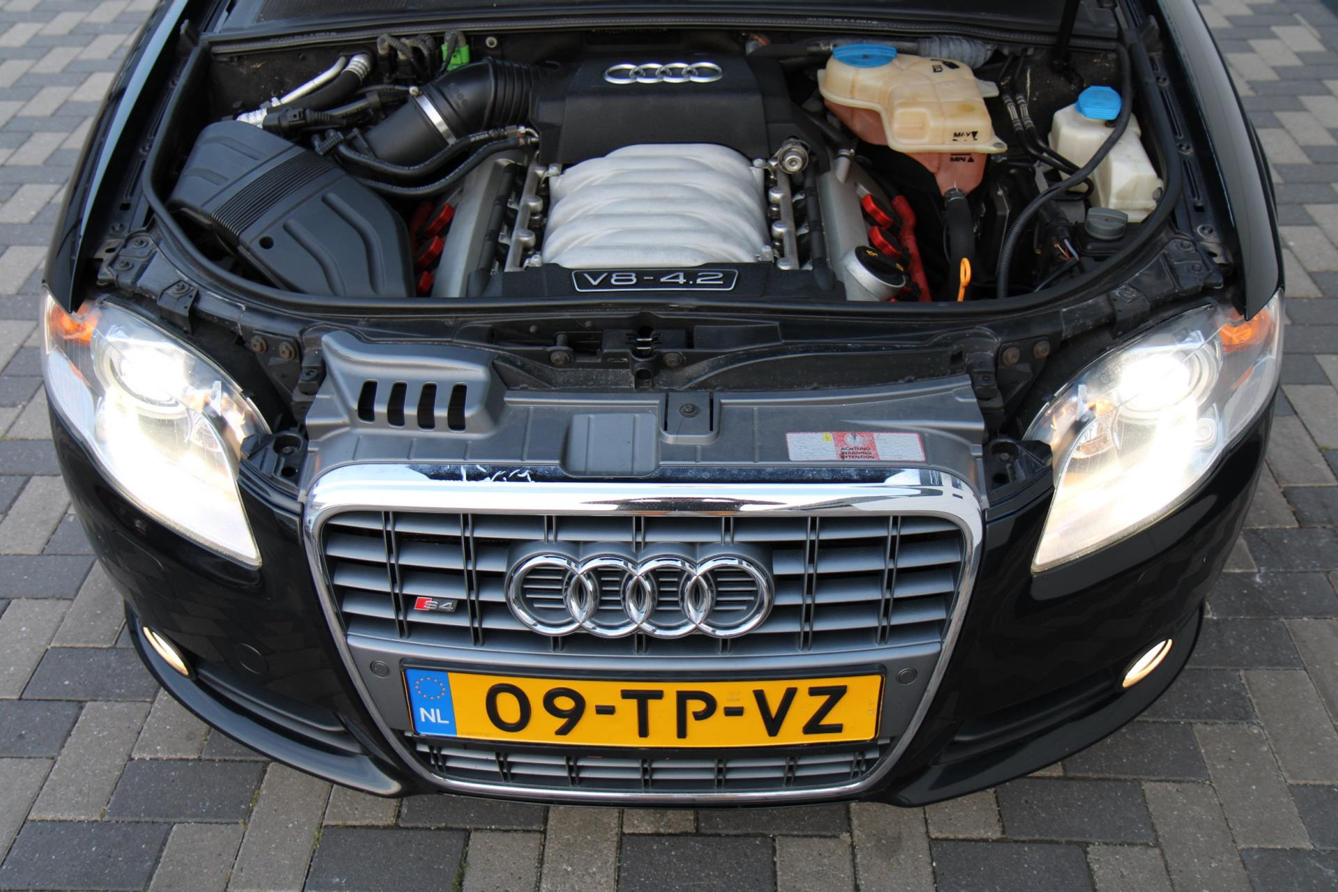47767946-34.jpg