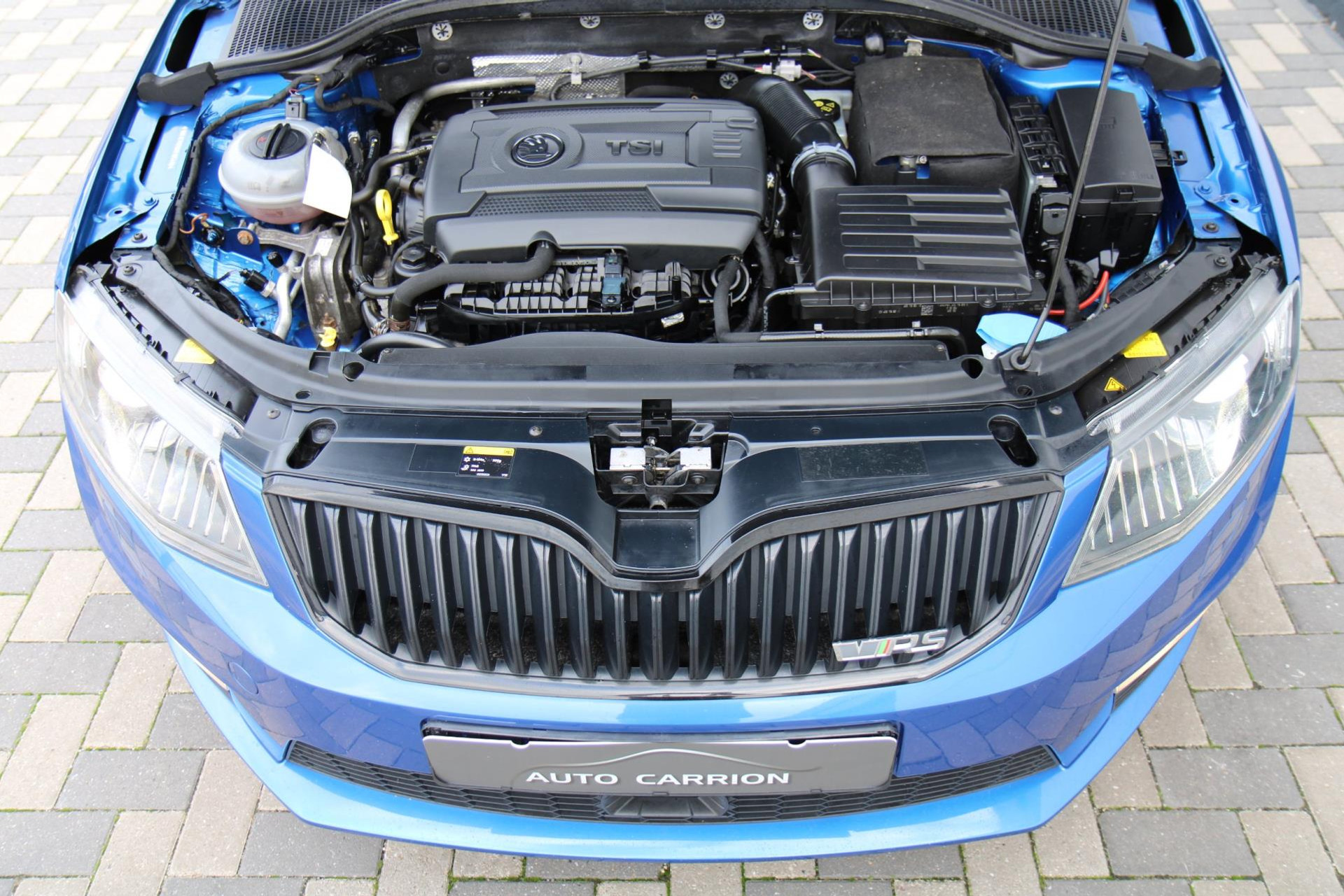 48476488-45.jpg