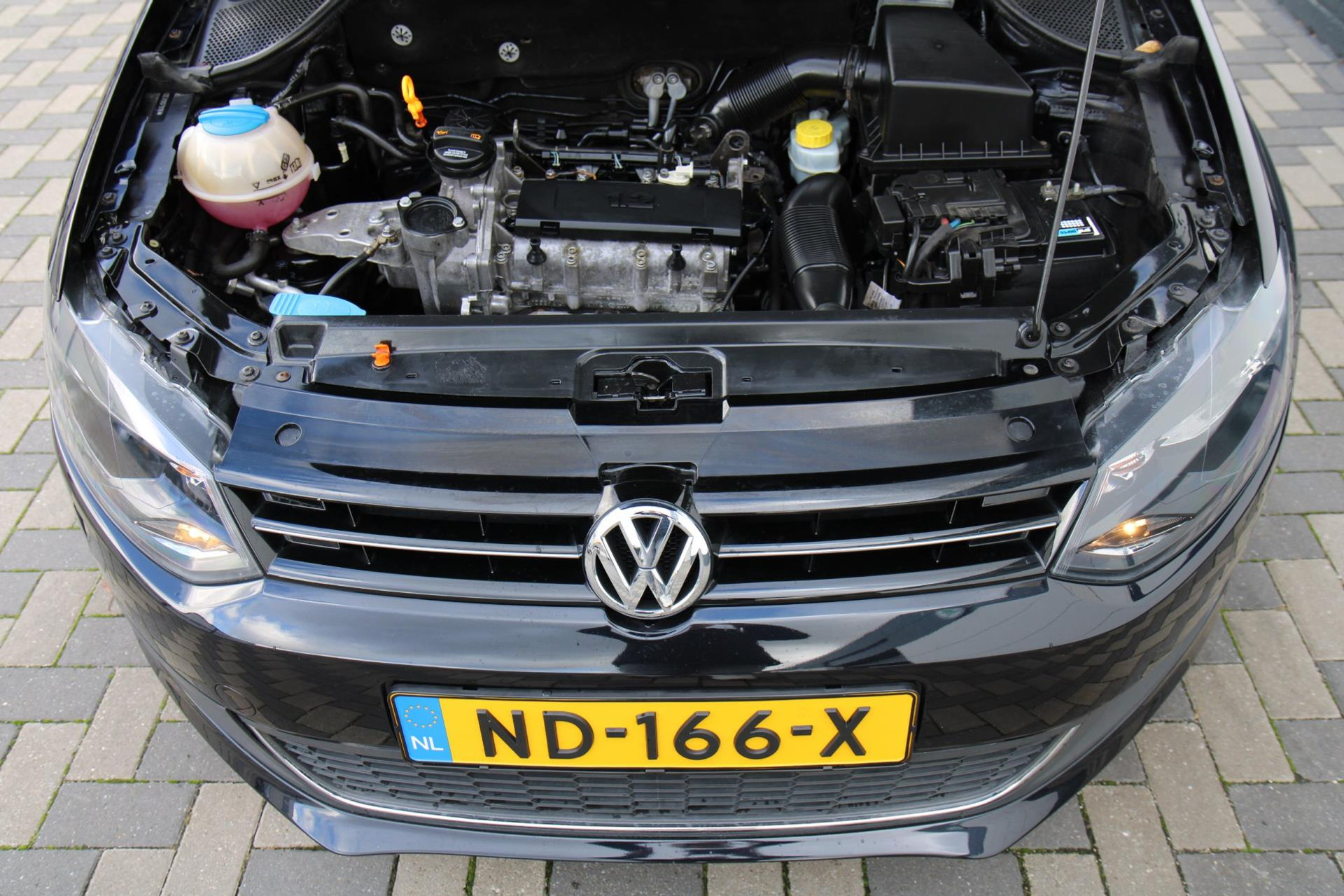 48657194-26.jpg